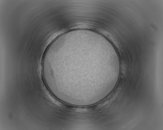 X0000111240890200907301304