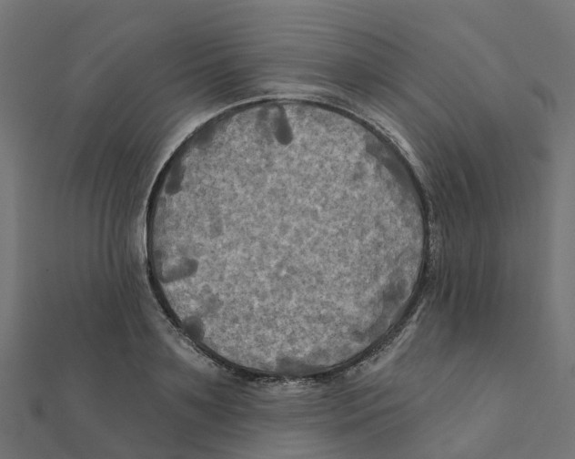 X0000111240891200907301304