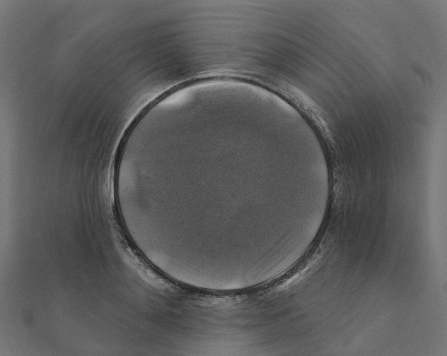 X0000111240892200907301304