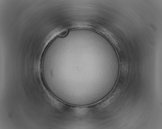 X0000111240893200907301304