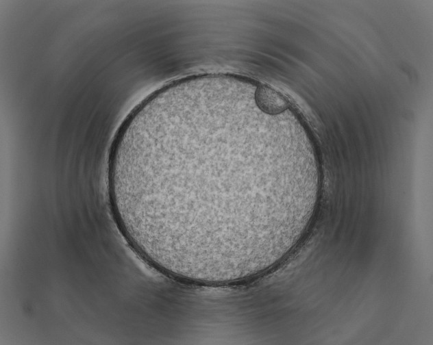 X0000111240894200907301304