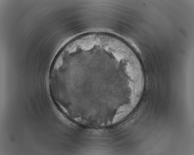 X0000111240895200907301304