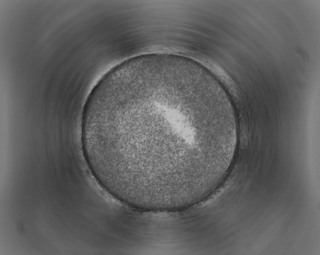 X0000111240896200907301304