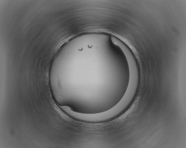 X0000111240897200907301304