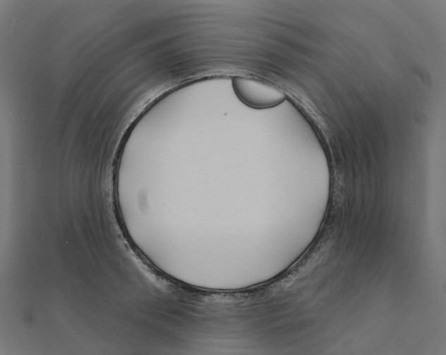 X0000111240898200907301304