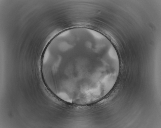 X0000111240899200907301304