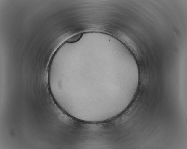 X0000111240900200907301304