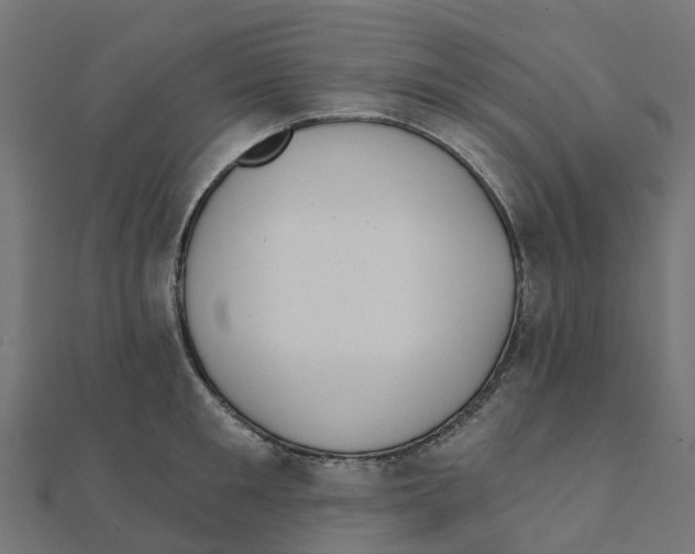 X0000111240901200907301304