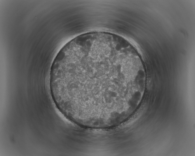 X0000111240903200907301304