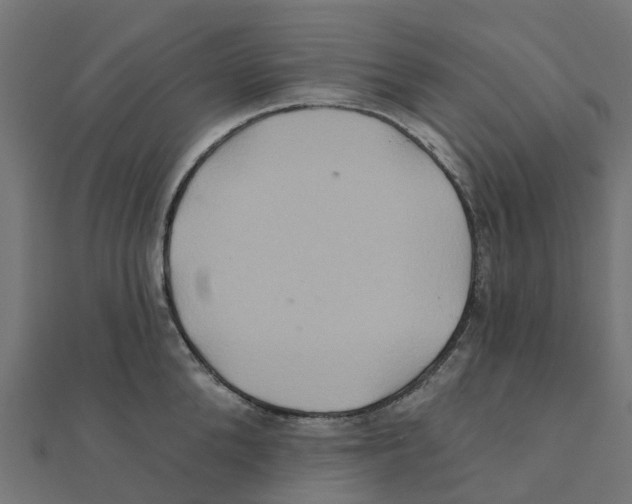 X0000111240904200907301304