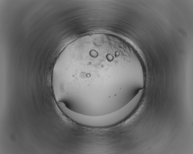 X0000111240905200907301304