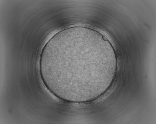 X0000111240906200907301304