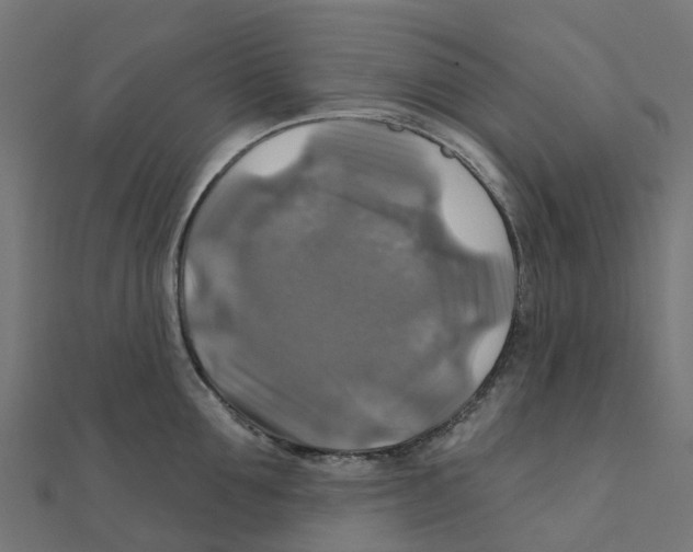 X0000111240907200907301304