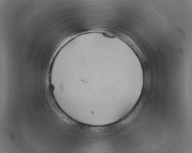 X0000111240908200907301304
