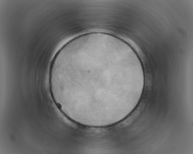 X0000111240910200907301304