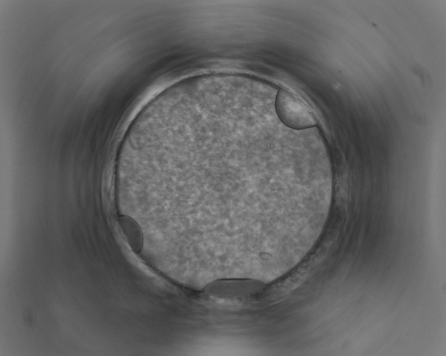 X0000111240911200907301304
