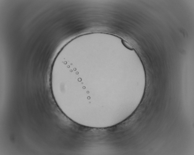 X0000111240912200907301304