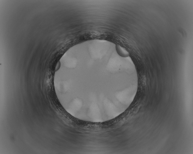 X0000111240914200907301303