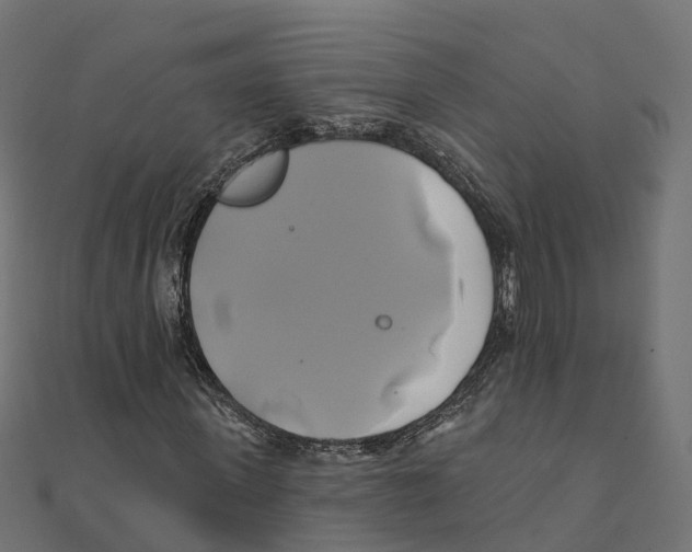 X0000111240915200907301303
