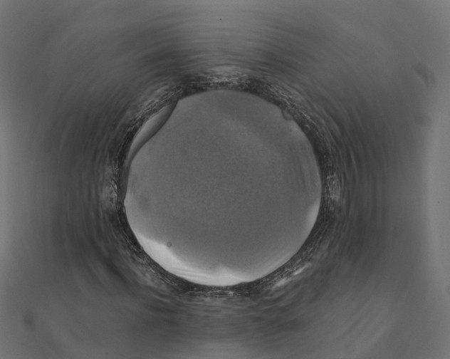 X0000111240916200907301303