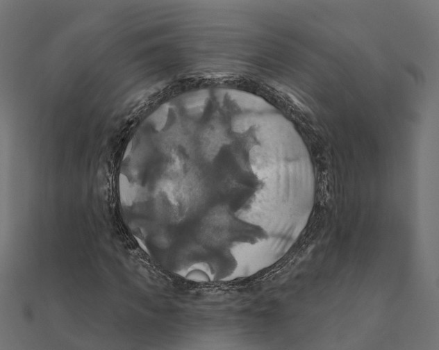 X0000111240917200907301303