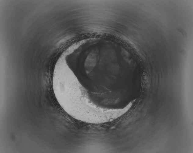 X0000111240918200907301303