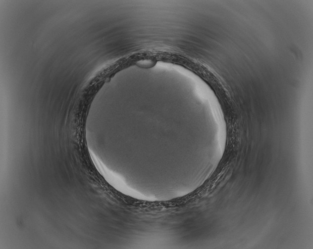 X0000111240919200907301303