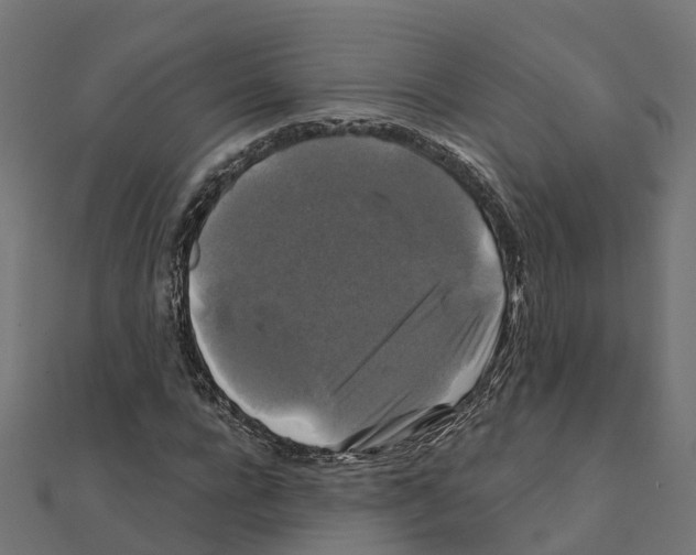 X0000111240920200907301303