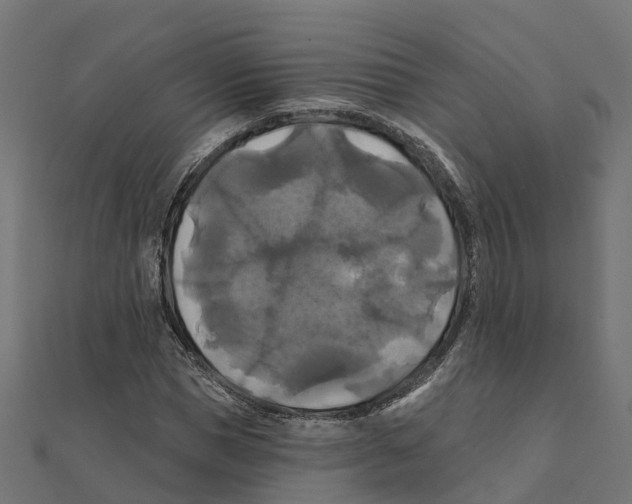 X0000111240921200907301303