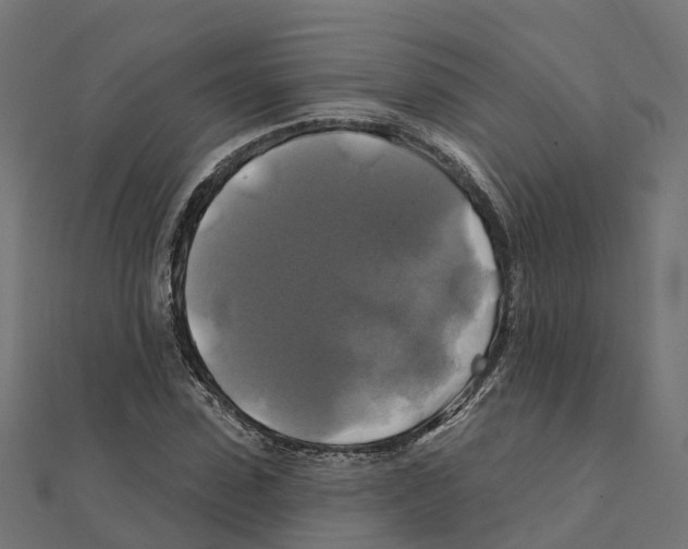 X0000111240923200907301303