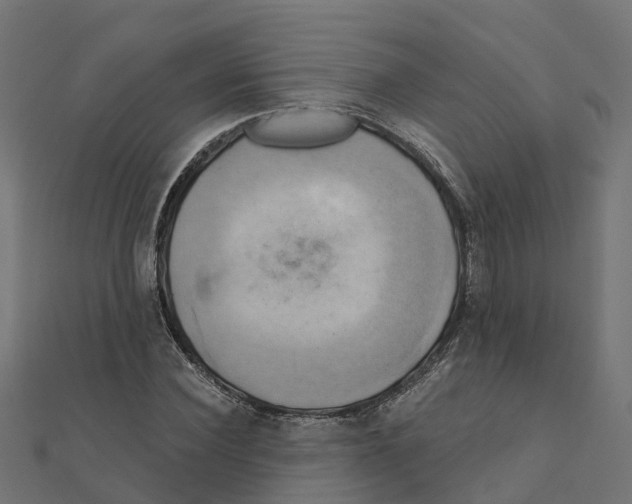X0000111240924200907301303