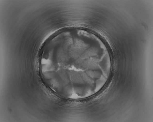 X0000111240925200907301303