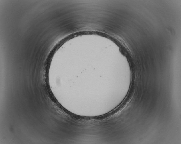 X0000111240926200907301303