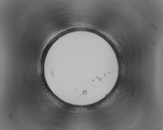 X0000111240927200907301303