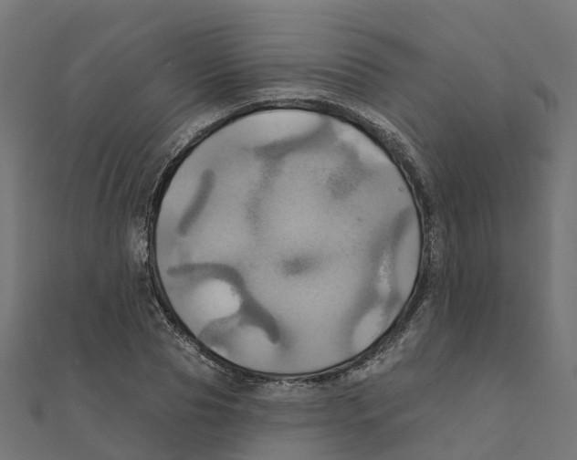 X0000111240929200907301303