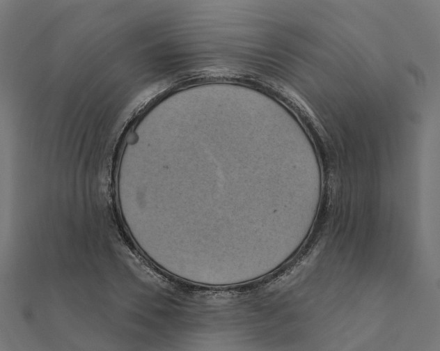 X0000111240930200907301303