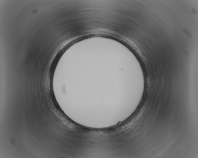 X0000111240931200907301303