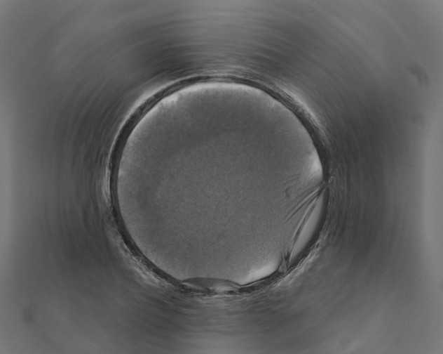 X0000111240932200907301303