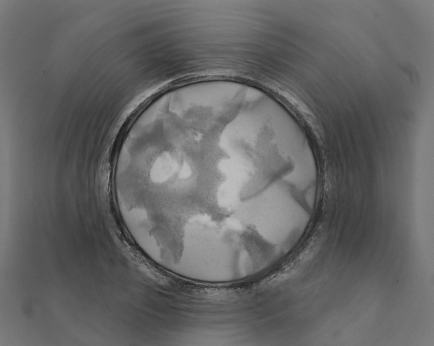X0000111240933200907301303