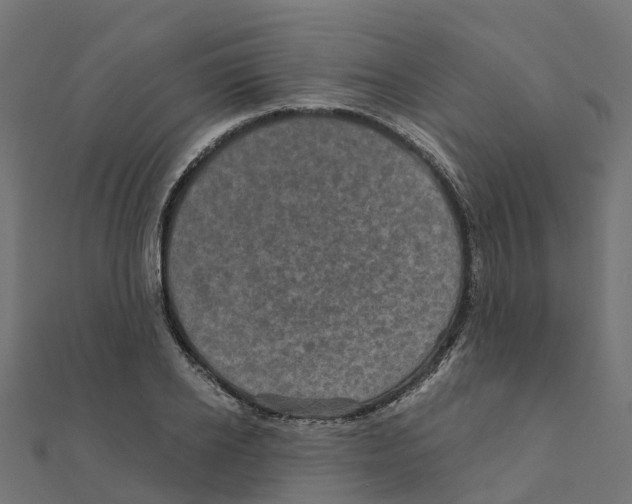 X0000111240934200907301303