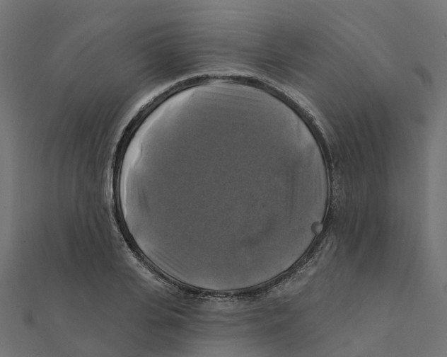 X0000111240935200907301303