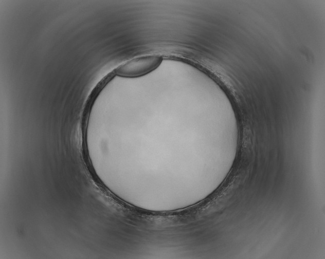 X0000111240936200907301303