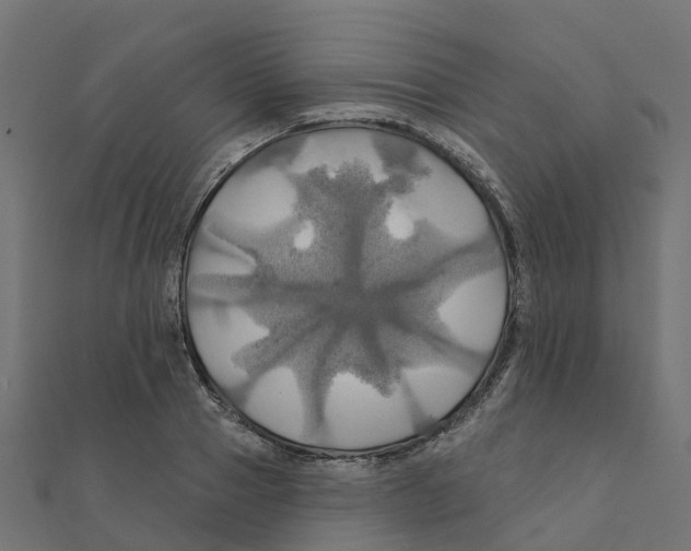 X0000111240937200907301303