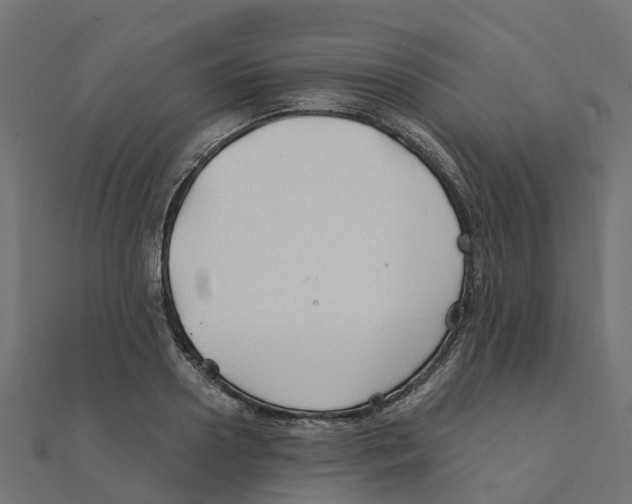 X0000111240938200907301303