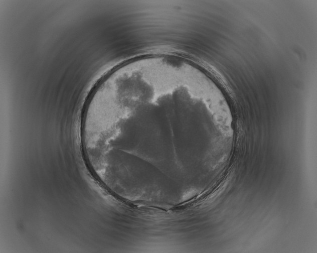 X0000111240939200907301303