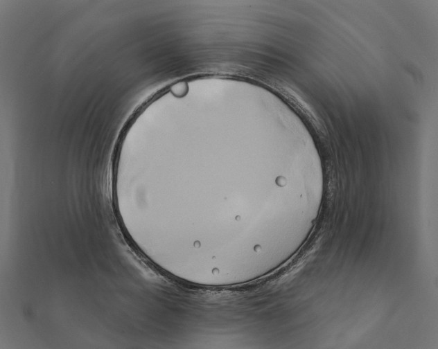 X0000111240940200907301303