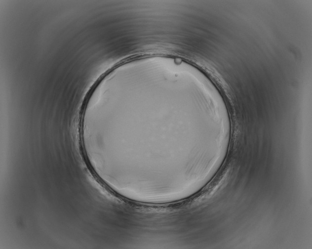 X0000111240941200907301303