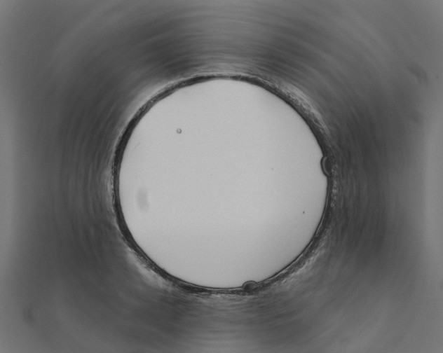 X0000111240942200907301303