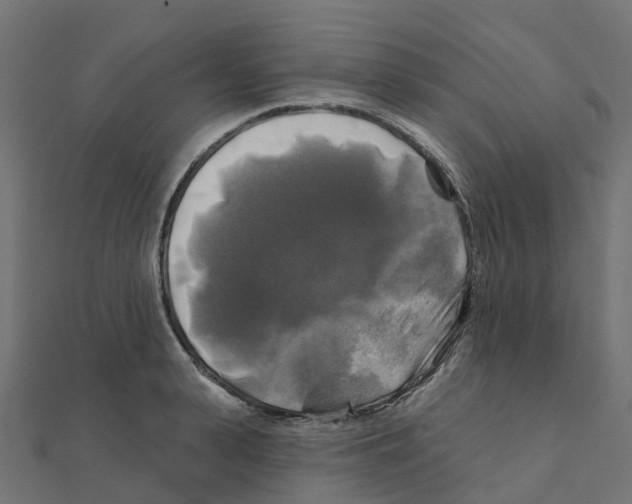 X0000111240943200907301303