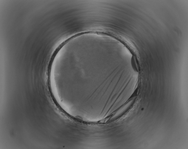 X0000111240944200907301303